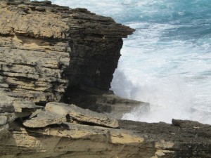 IMG_5462 (Medium)